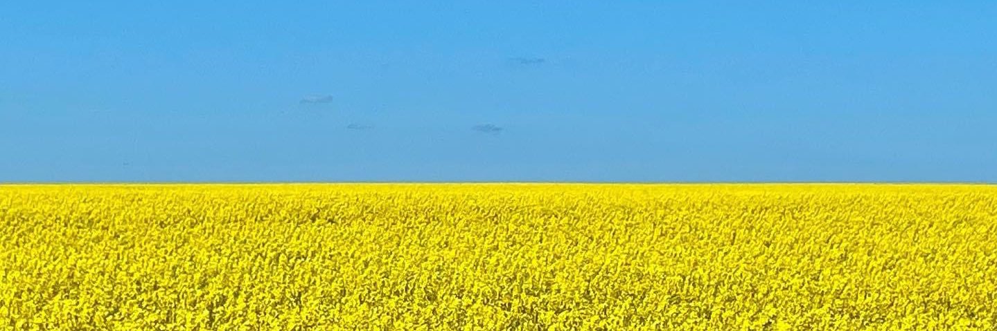 Olena Kondratiuk's banner