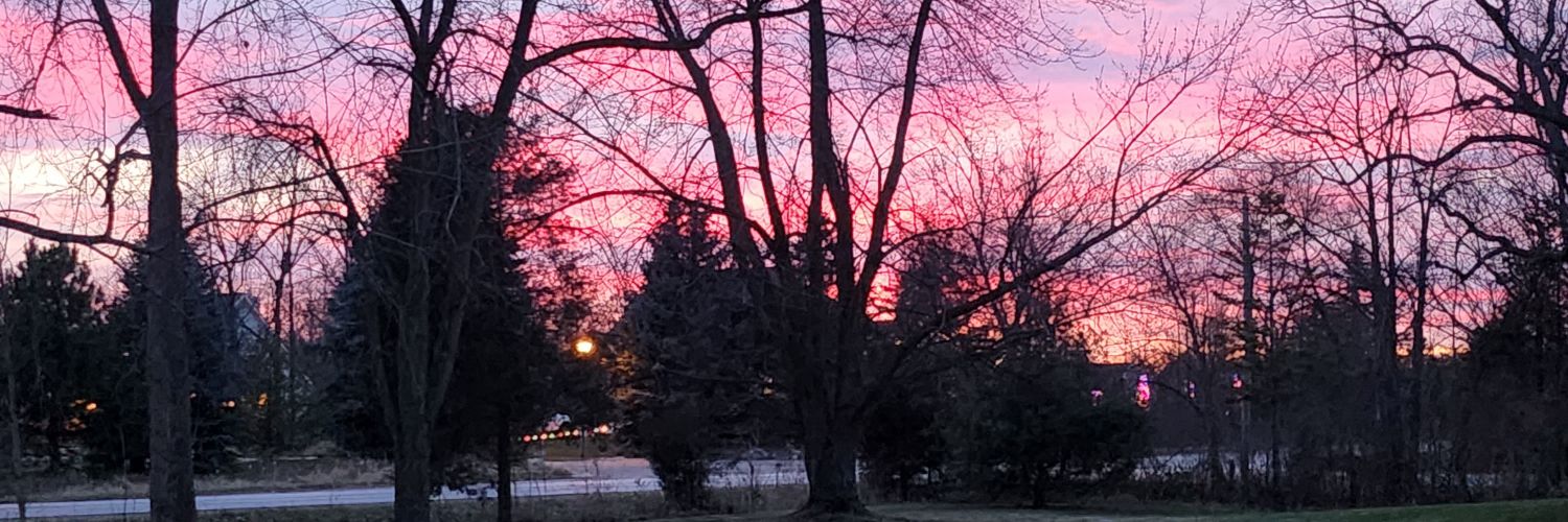 theDougTaylor's profile banner image