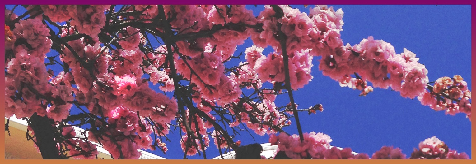 frene12's profile banner image