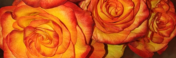 Juicy20721 Profile Banner