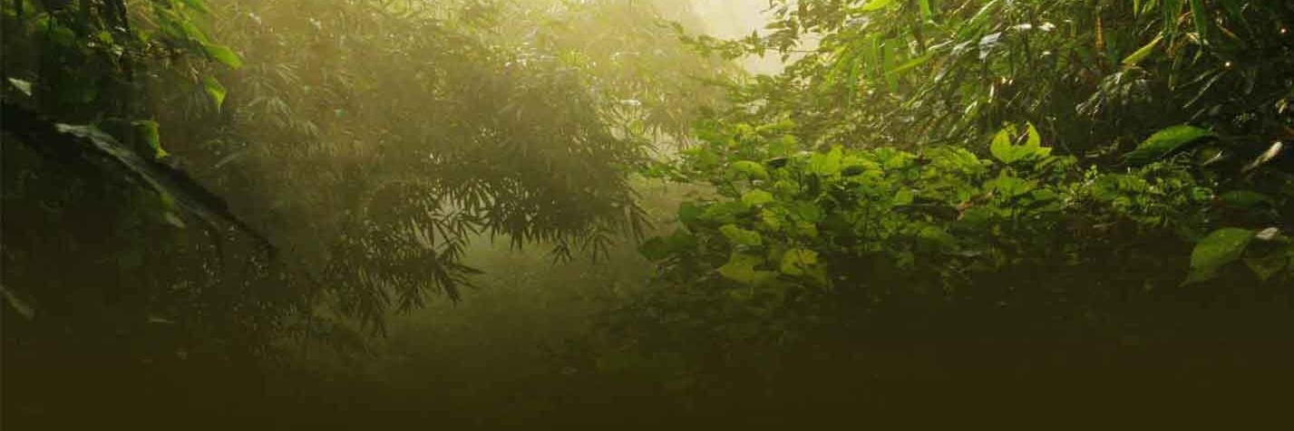 aa_aman's profile banner image