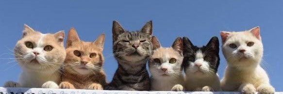 ออย 🍑 banner