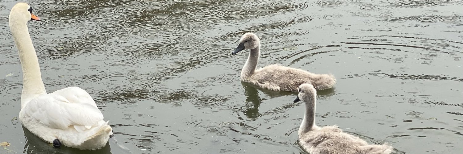 EndaGallagher banner