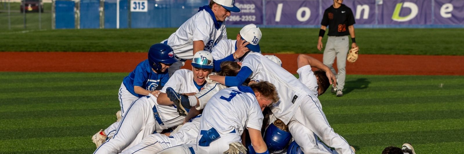 LB Eagle Baseball banner