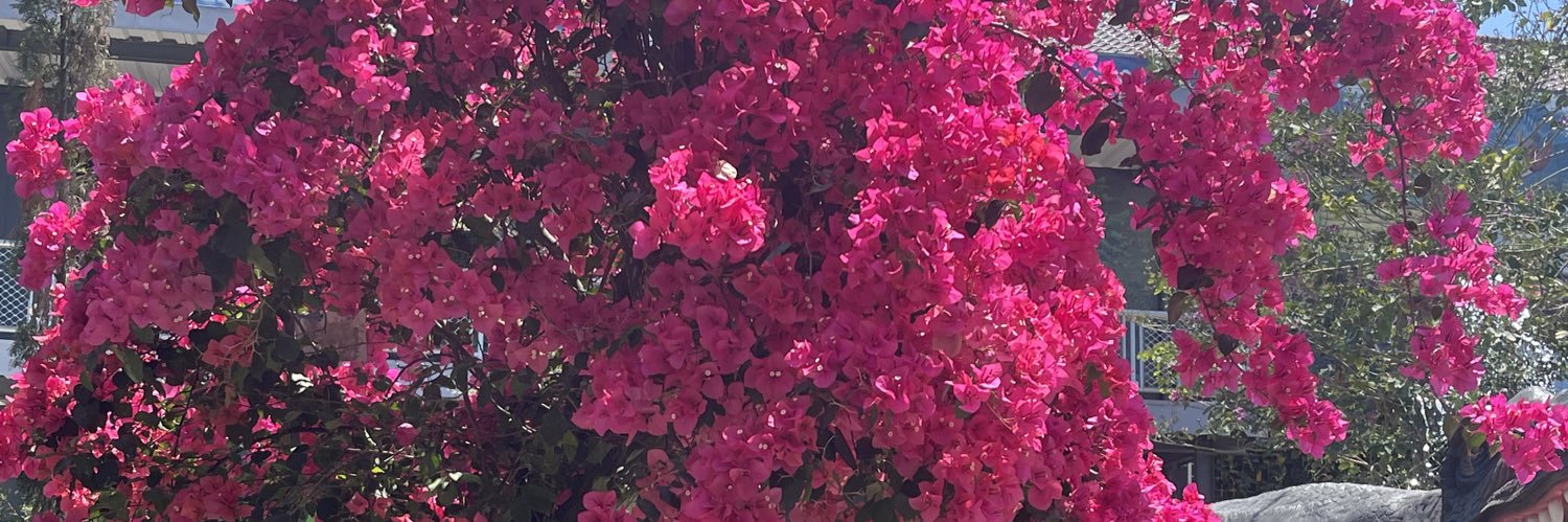 dithapermataa's profile banner image