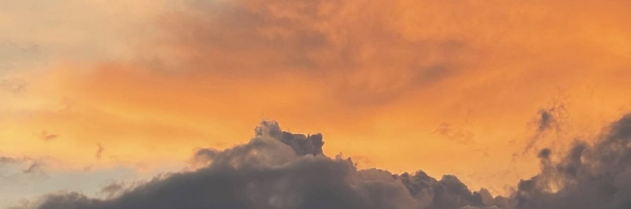 Emil Perez banner