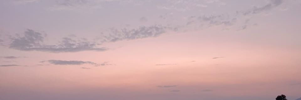 Aditya Gupta's banner