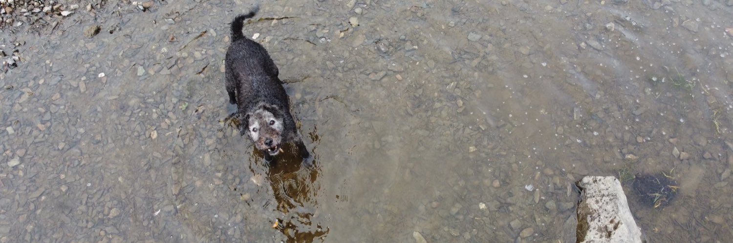 Lydia Harrison banner