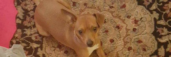 mshawks74 Profile Banner