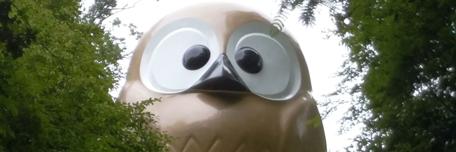 ustaxexemptforu's profile banner image