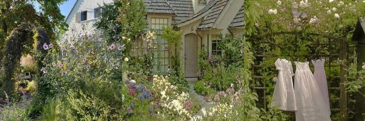 Salem 🪴🦨 banner