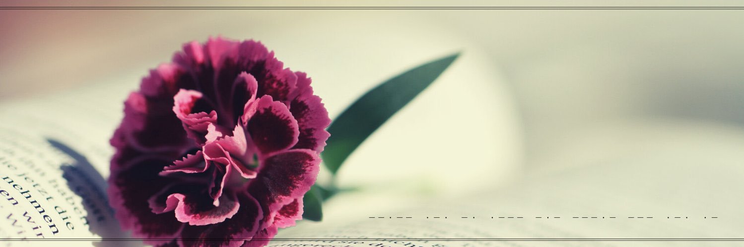 いろは banner