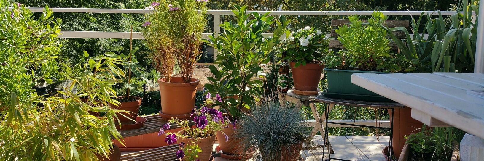 Martin Krasser banner