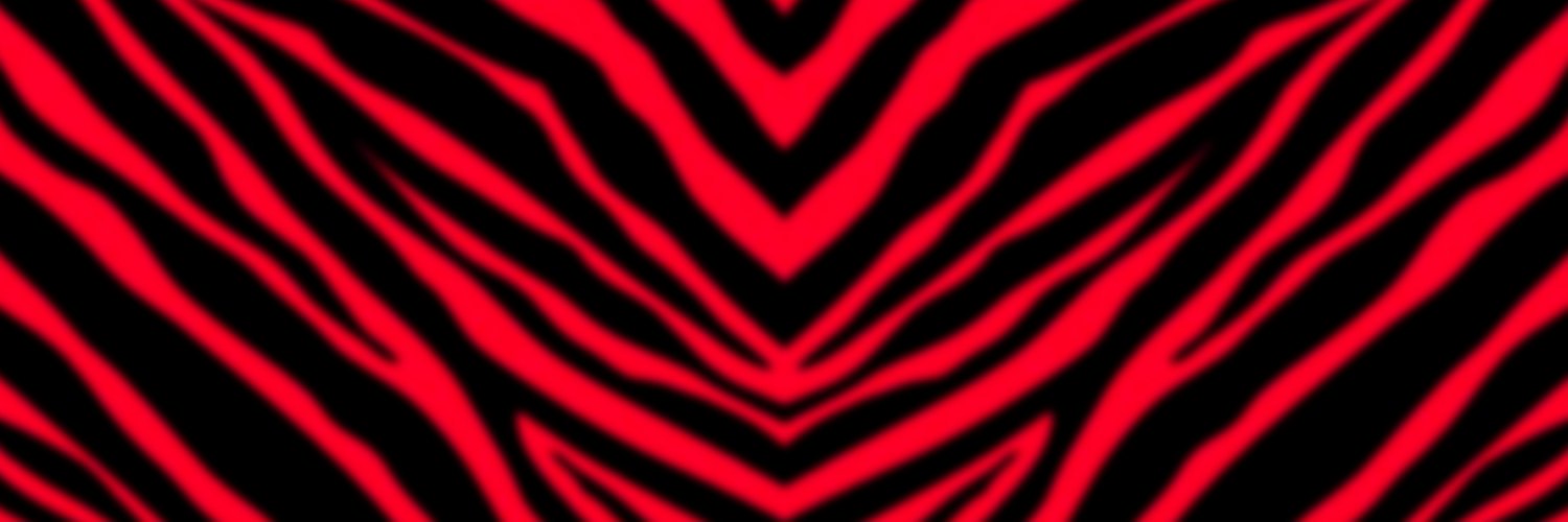 AR_VXC's profile banner image
