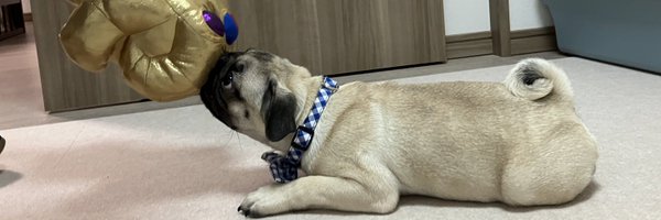 Pug__uuupeee Profile Banner