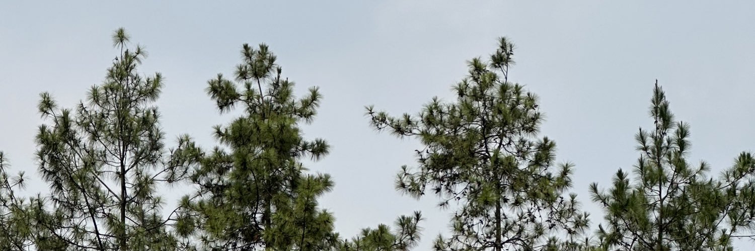 jibotwebster's profile banner image