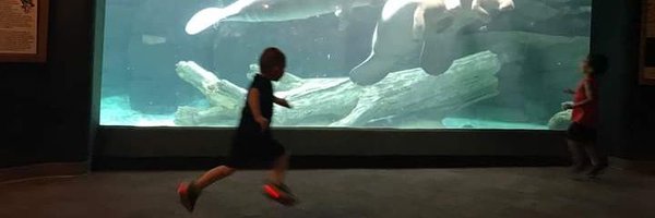 WhodeyHenz Profile Banner