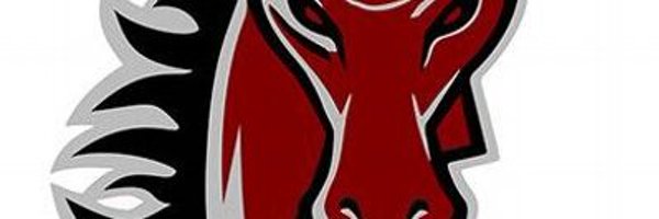 BroncoLSNHoops Profile Banner