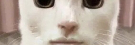 canular (omeotoris) banner