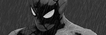 ShieldVenom banner