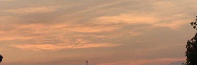 รินชา 🍵 banner