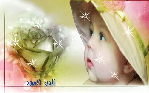 bmab2013's profile banner image