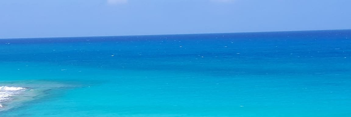 alshaimaa_salah's profile banner image