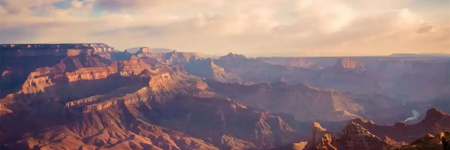 ktrachy's profile banner image