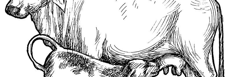 shanthols's profile banner image