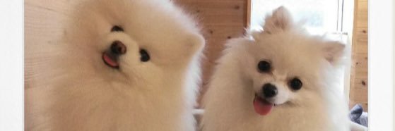 kalla_ci's profile banner image