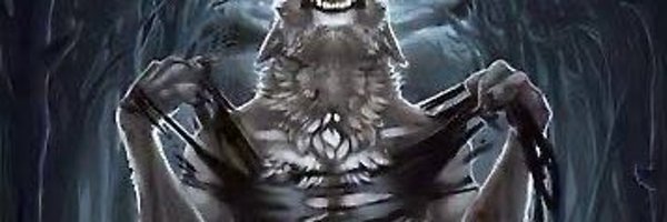 0hohello Profile Banner