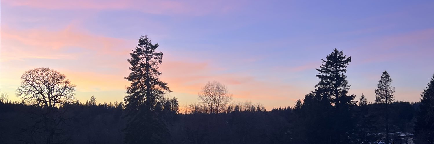 themexifry's profile banner image
