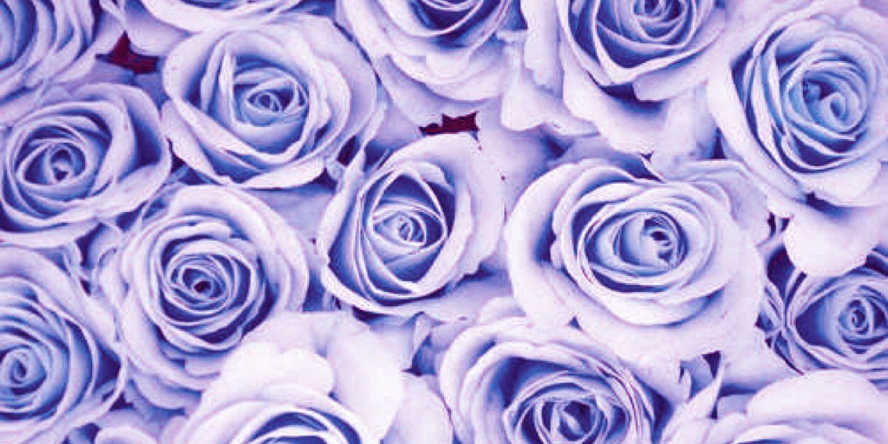 amandanadyaa's profile banner image