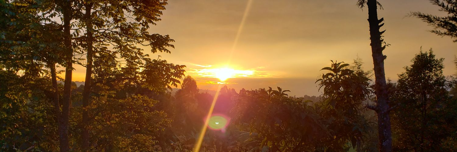 bkipeter's profile banner image