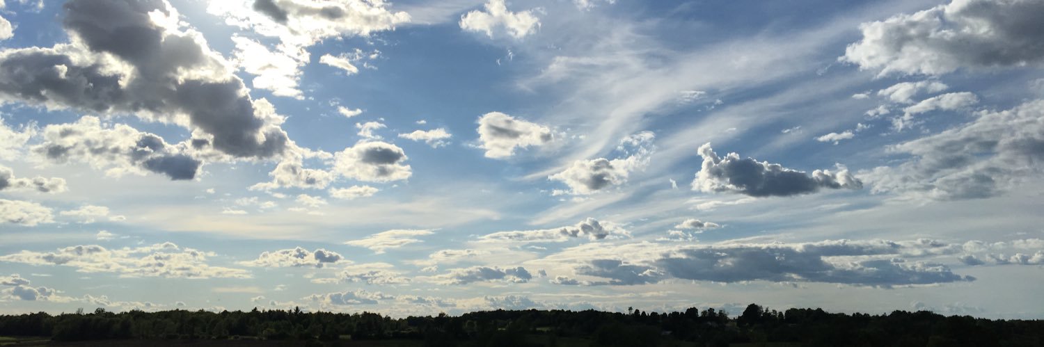 StevieNellenbac's profile banner image