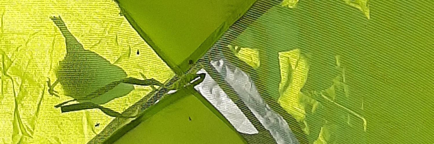 uranjirgee's profile banner image