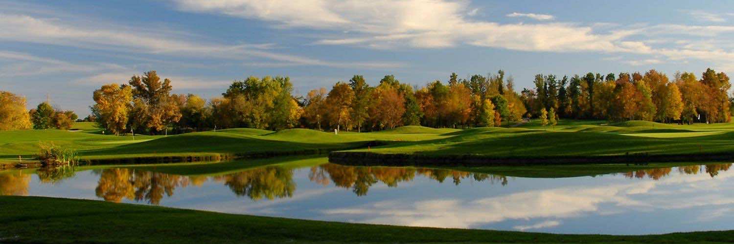 Merlin Sterling banner