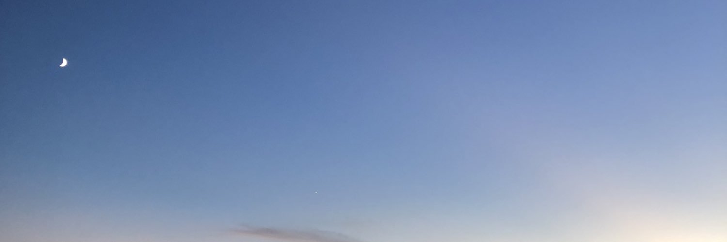 arissoy's profile banner image