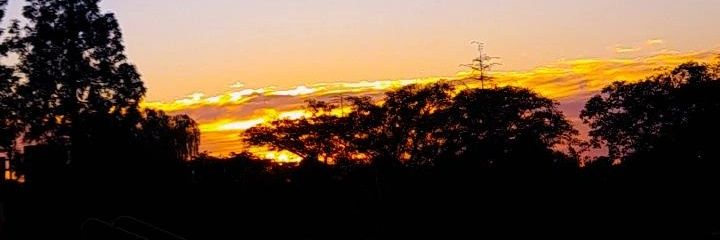 Giu banner