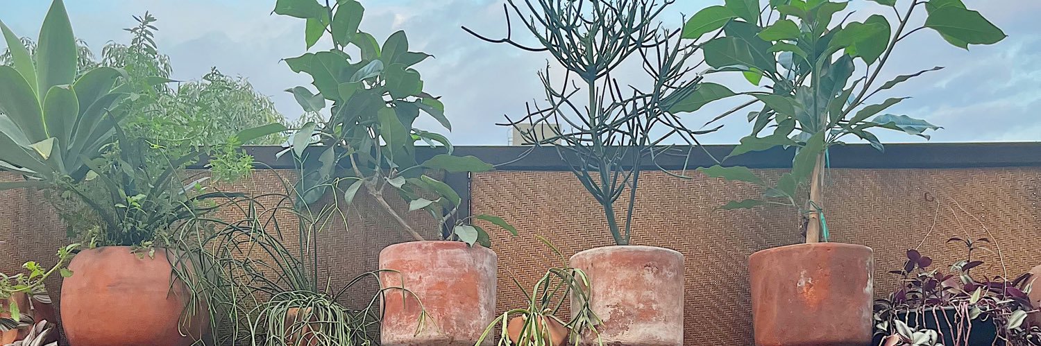 wahsedac's profile banner image