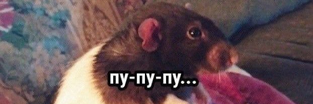 юсік's banner