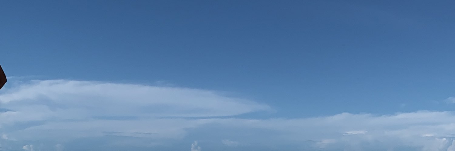 pedrolds's profile banner image