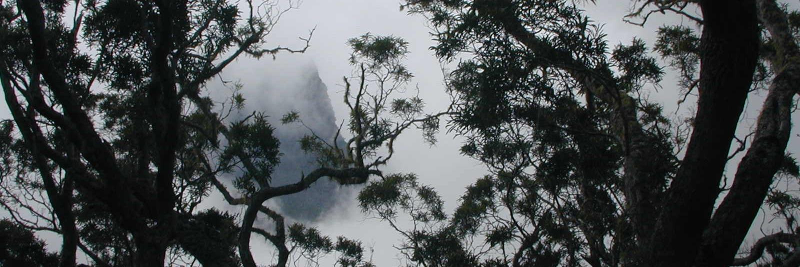 LALANNE Florence banner
