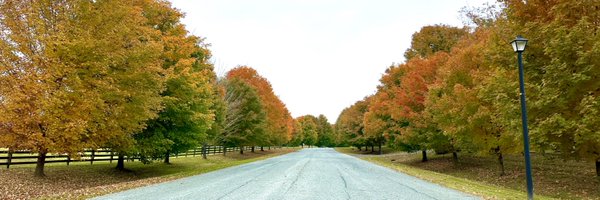 EthSopia Profile Banner