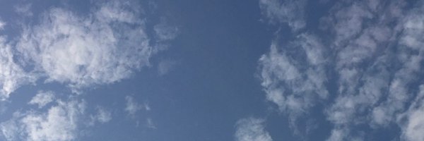 YuanCui2021 Profile Banner