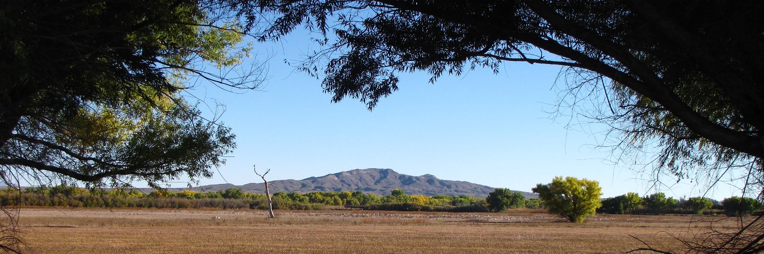 Progress matters (Nauseously Optimistic) banner