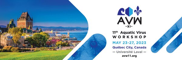 AVWno11 Profile Banner