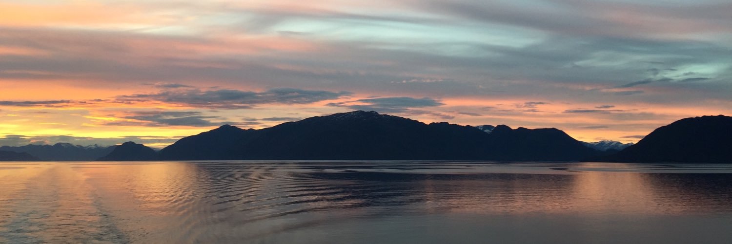 alapiano's profile banner image