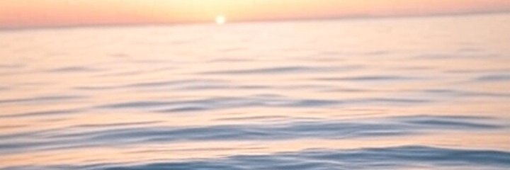 DinduNuffins banner