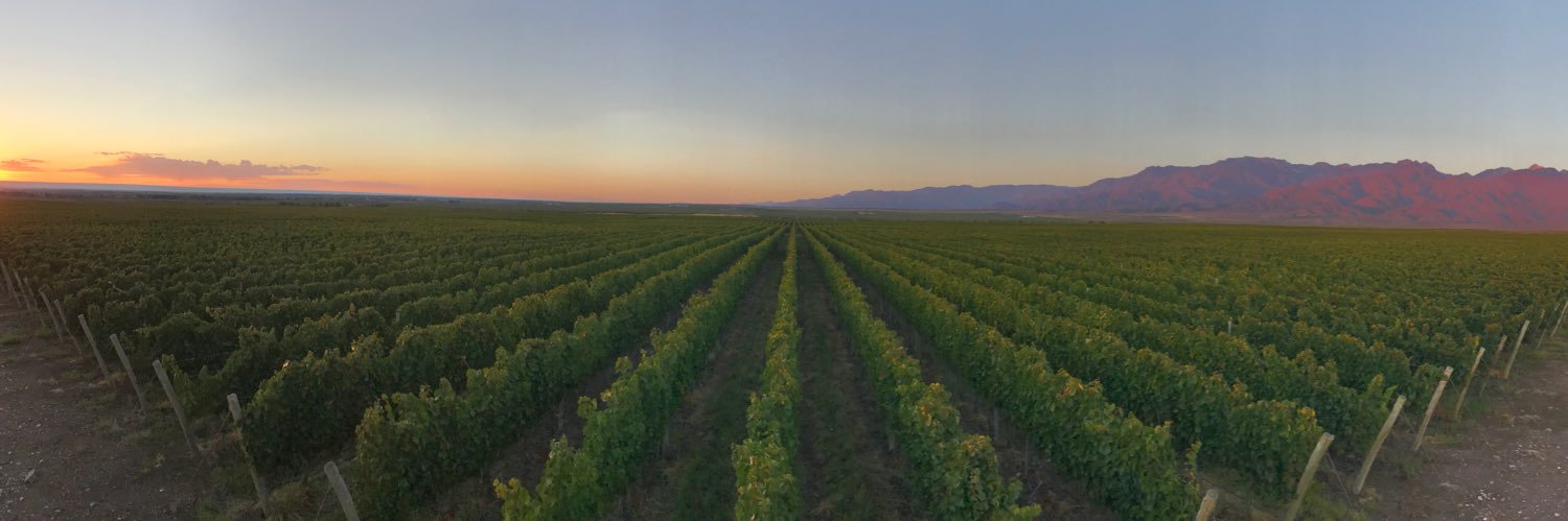 Facundo Impagliazzo banner